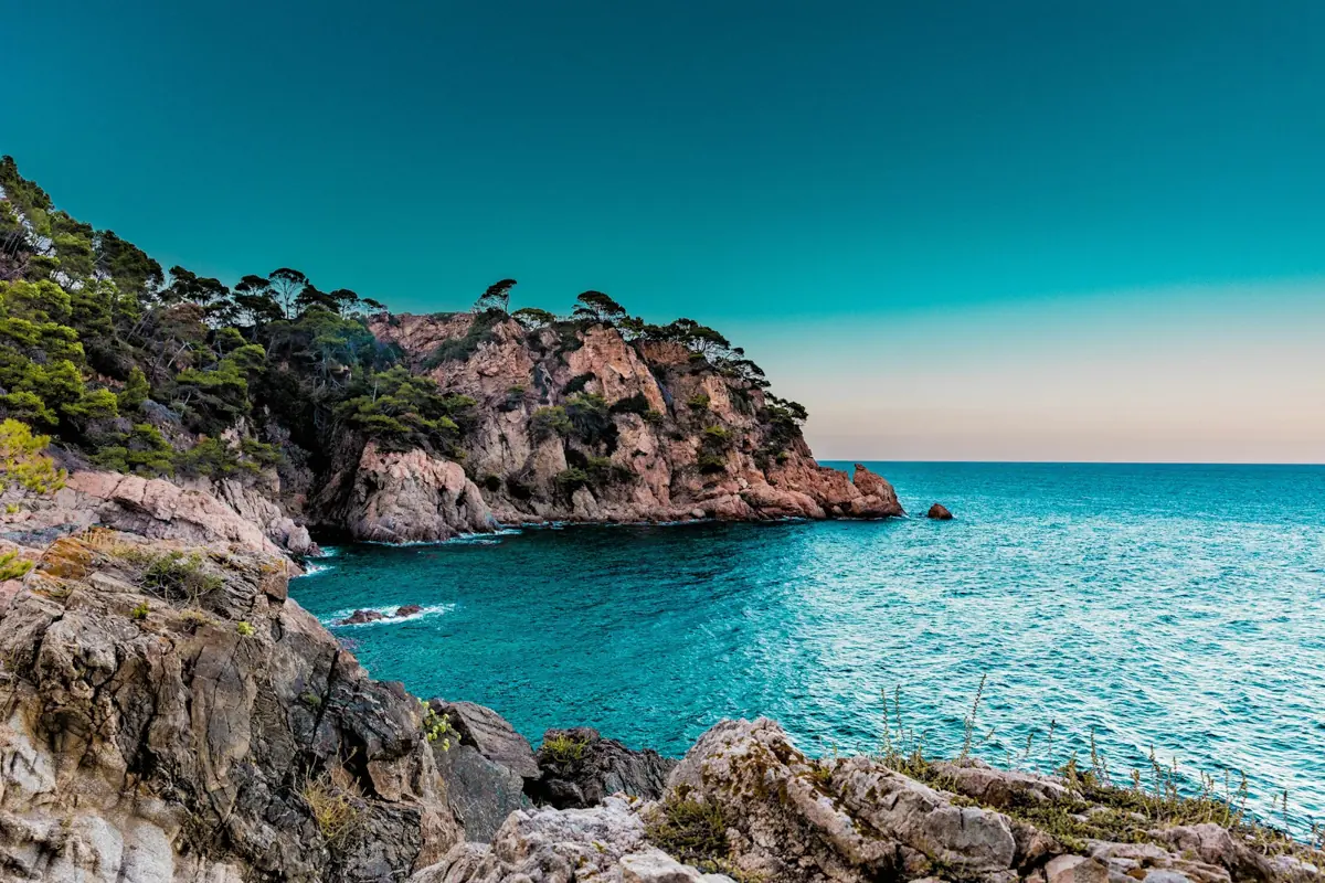Cala rocosa con pinos y agua turquesa en la costa mediterránea